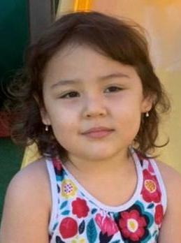 ANA LIVIA HAMAMOTO MITSUGUI ODORIZZI RAMALHO