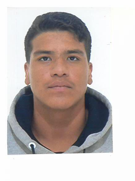 DANIEL DA SILVEIRA GONCALVES