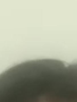 ISABELLA CAPECE BARBOSA 