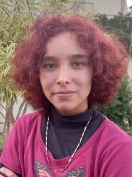 ELIZABETE ALVES DOS SANTOS