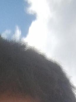 ANTONY DRANCE XAVIER