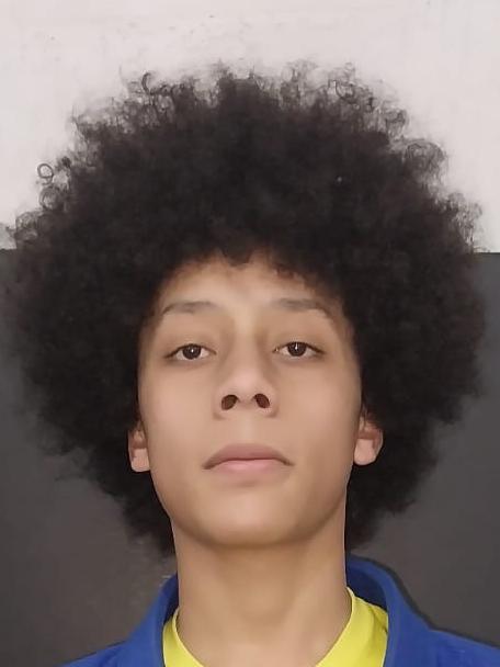 BRYAN AMARAL MARTINS DA CRUZ