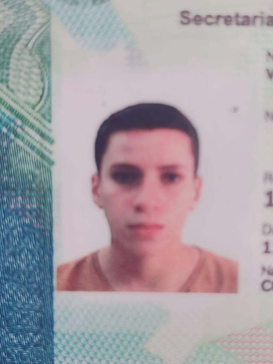 VINICIOS HENRIQUE ALVES NHÃ