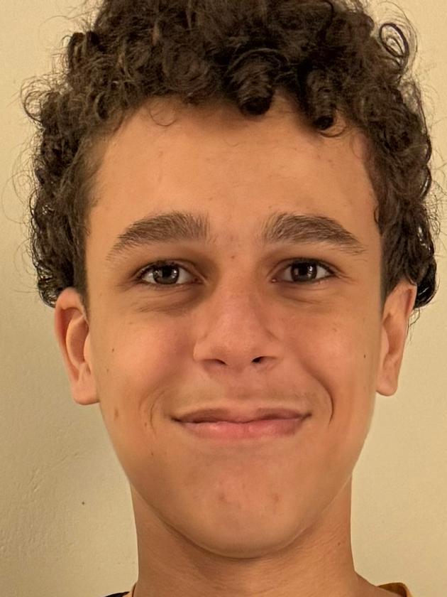 VICTOR HUGO MENEGUIN SANTOS