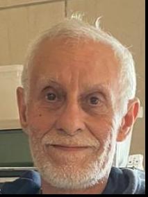 RENATO DA SILVA BRIZOLA