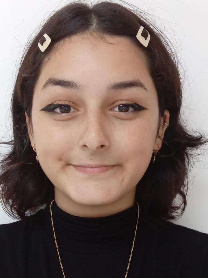 JULIA FERNANDA ROCHA PIRES
