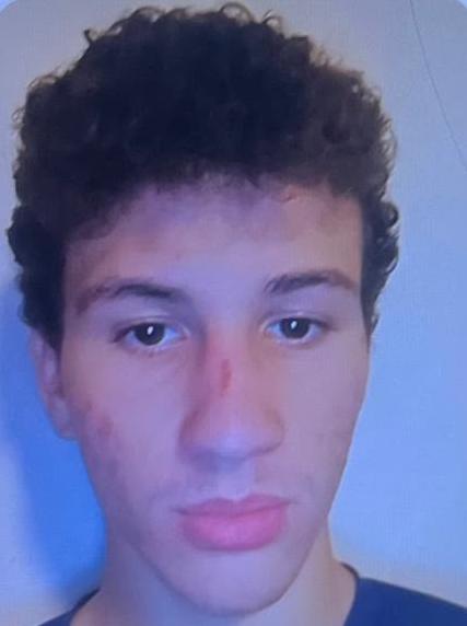 DANIEL LUCIANO CARDOSO TEIXEIRA GUERRA